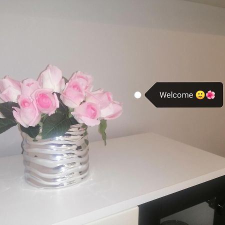 Apartment Vera, 80 M From The Sea Novigrad Istria エクステリア 写真
